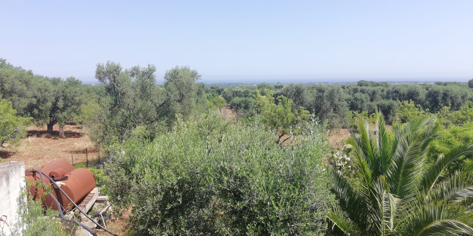 Lamia, Uliveto, Vista mare,