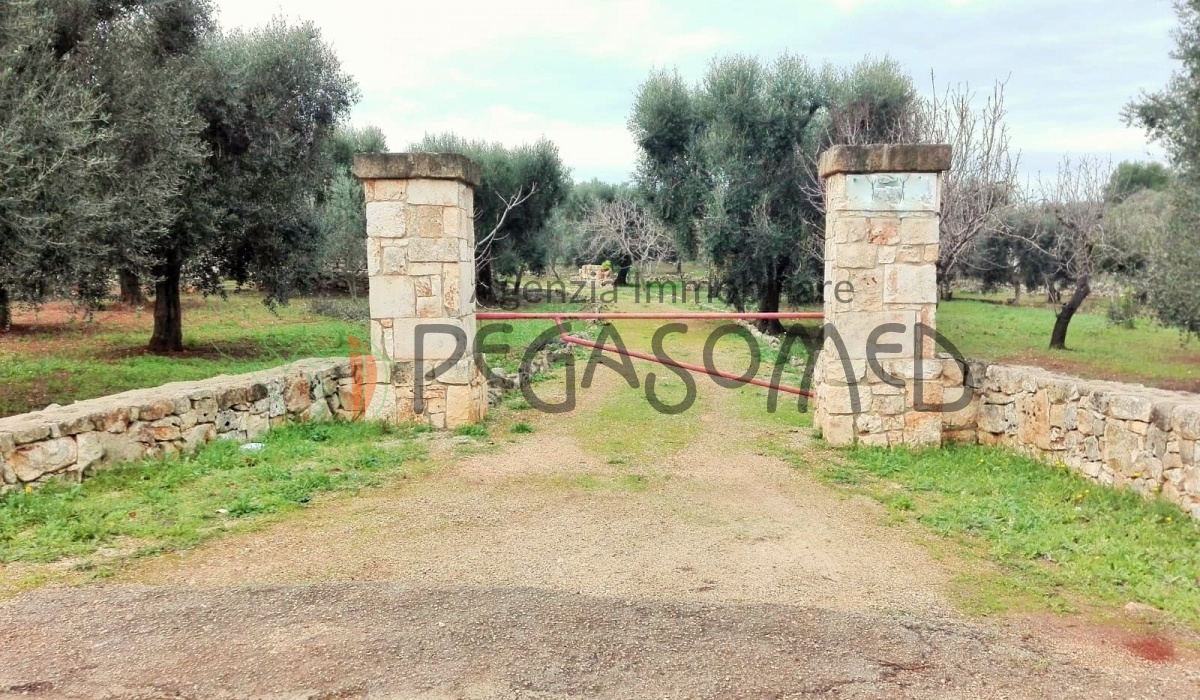 Puglia, casolari, uliveti secolari, rustici, alto salento, villa in campagna