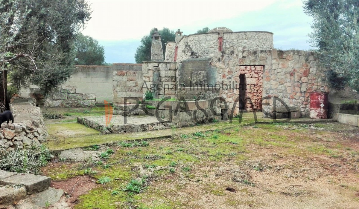 Puglia, casolari, uliveti secolari, rustici, alto salento, villa in campagna