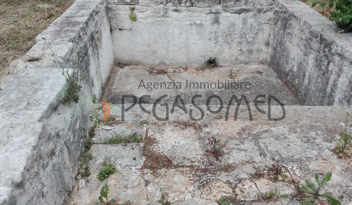 Casolare, Uliveto secolare, Campagna Pugliese, Alto Salento