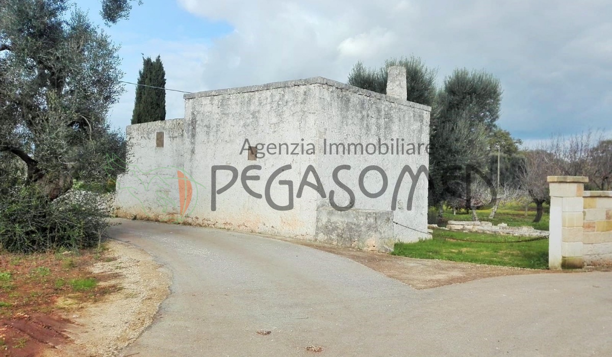 Casolare, Uliveto secolare, Campagna Pugliese, Alto Salento