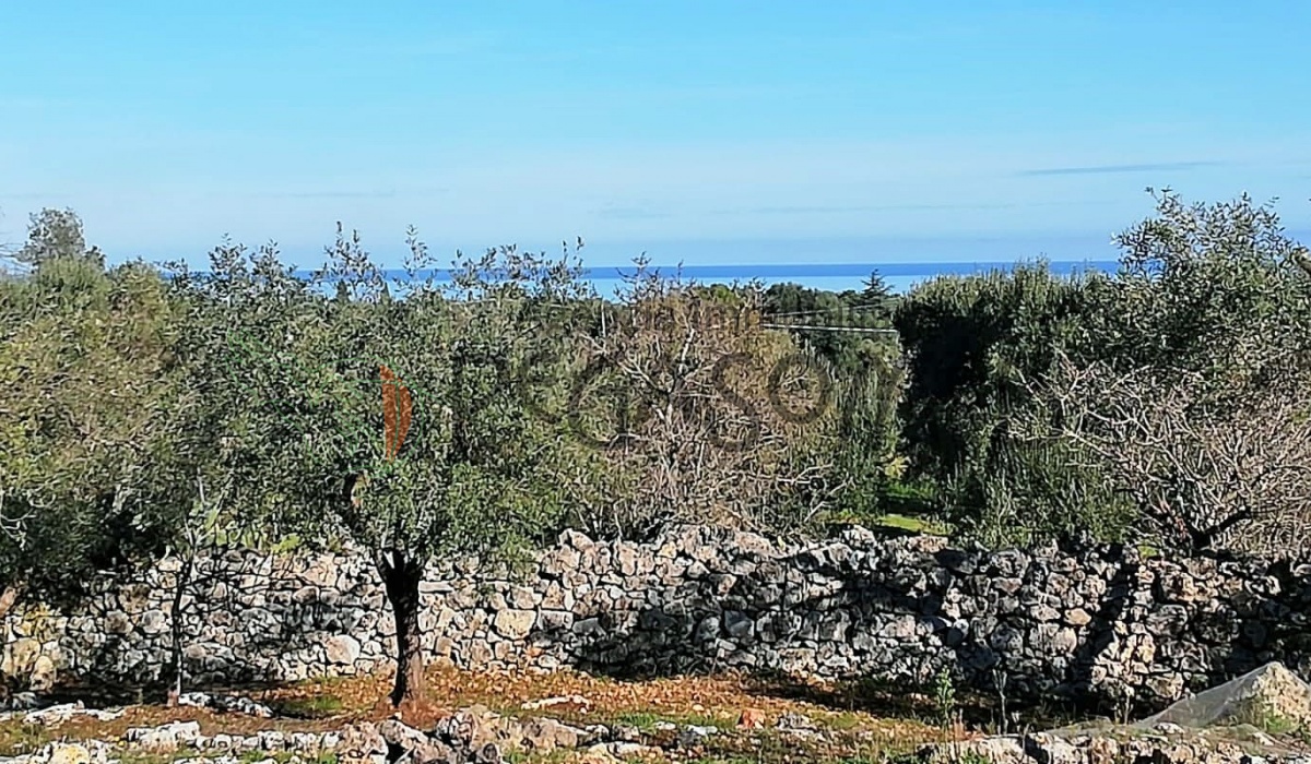 Terreno vista mare, vacanze in Puglia, Alto Salento