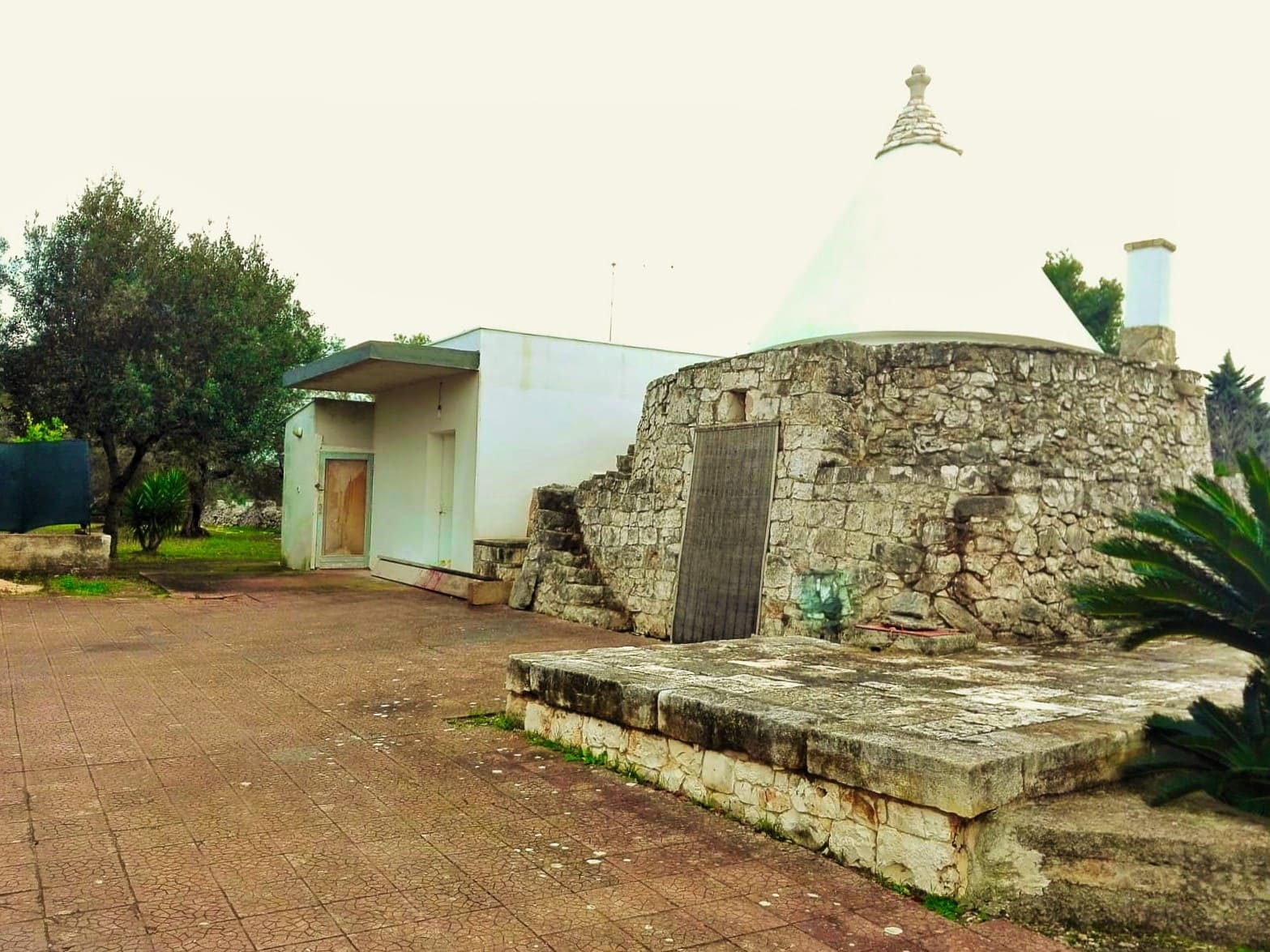 Trullo, uliveto, vacanze in Puglia, possibilità di ampliamento, alto salento, Puglia