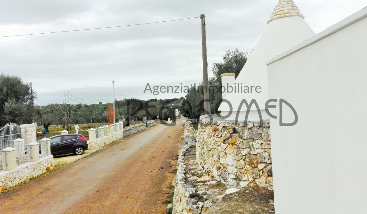 Trullo, uliveto, vacanze in Puglia, possibilità di ampliamento, alto salento, Puglia