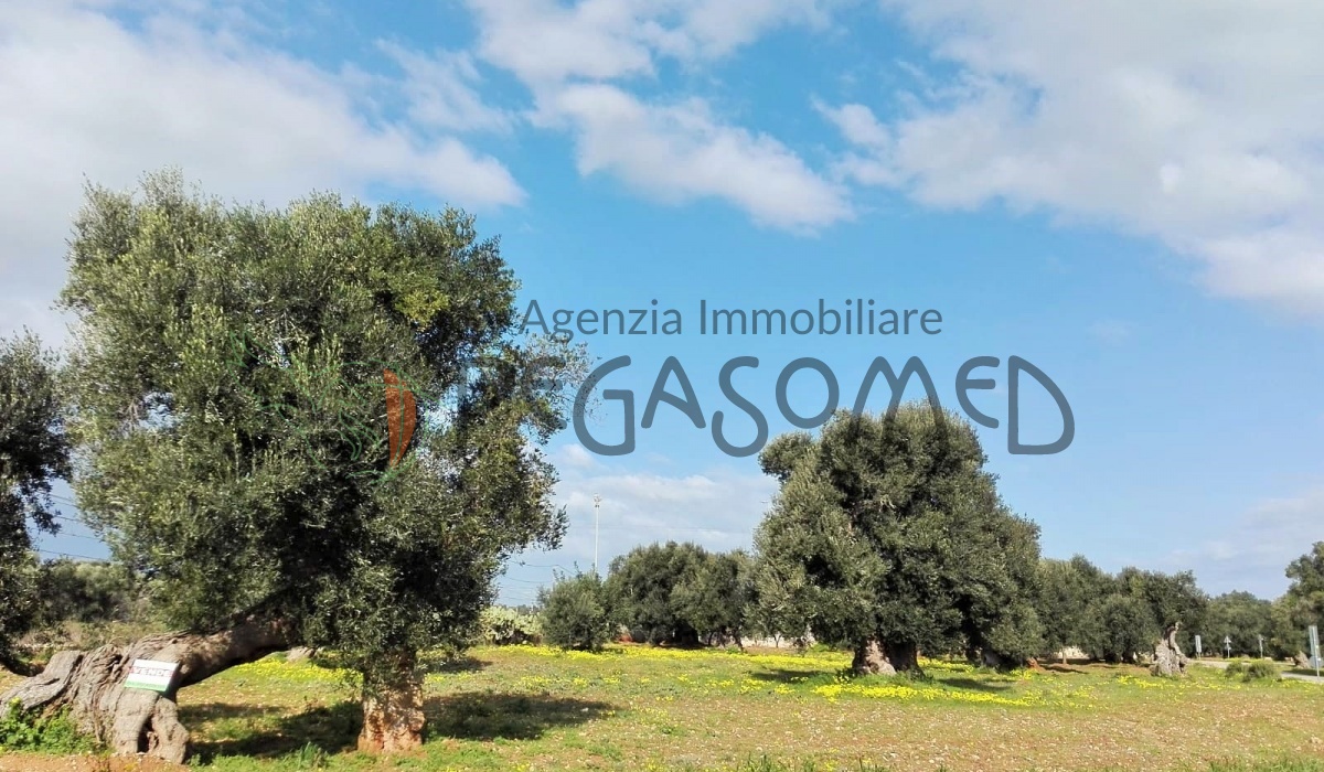 Torre Guaceto, Villa con giardino, Riserva Naturale Torre Guaceto, Mare, Vacanze in Puglia, Alto Salento