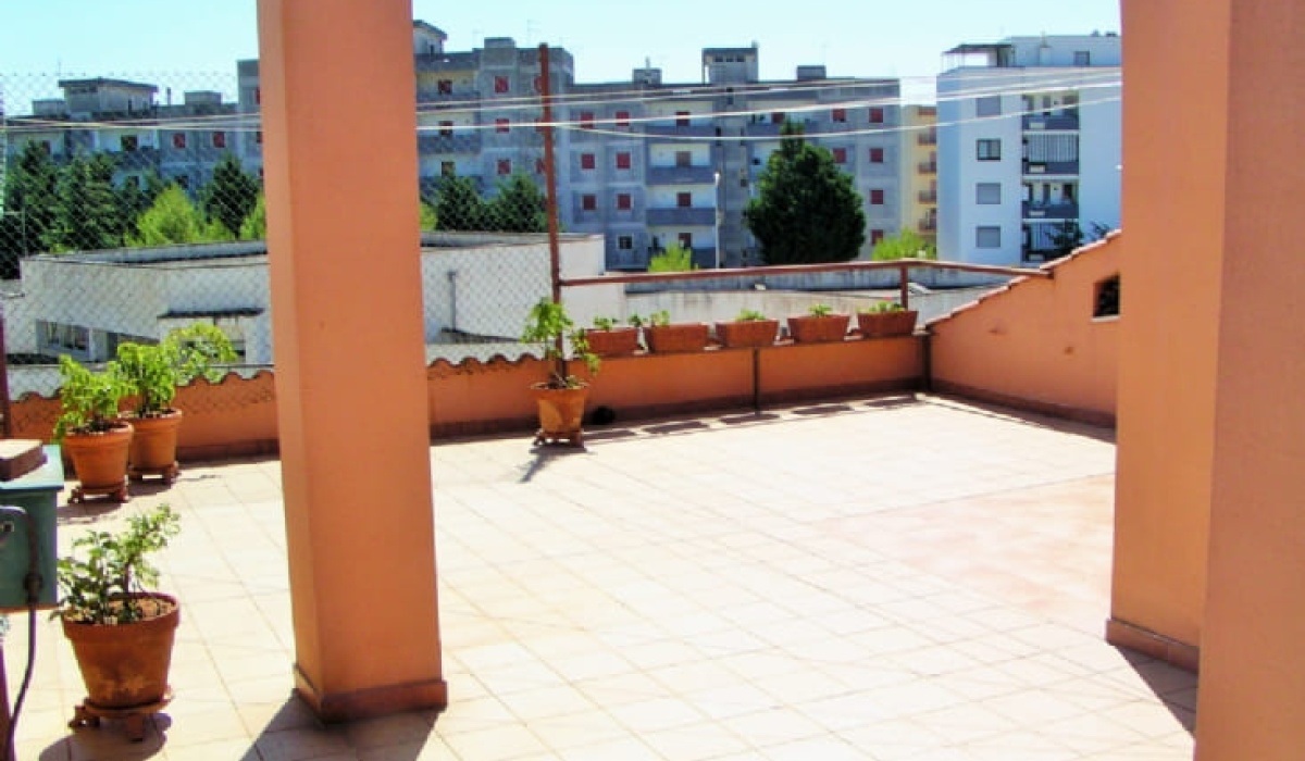 Agenzia immobiliare PegasoMed   san vito dei normanni 