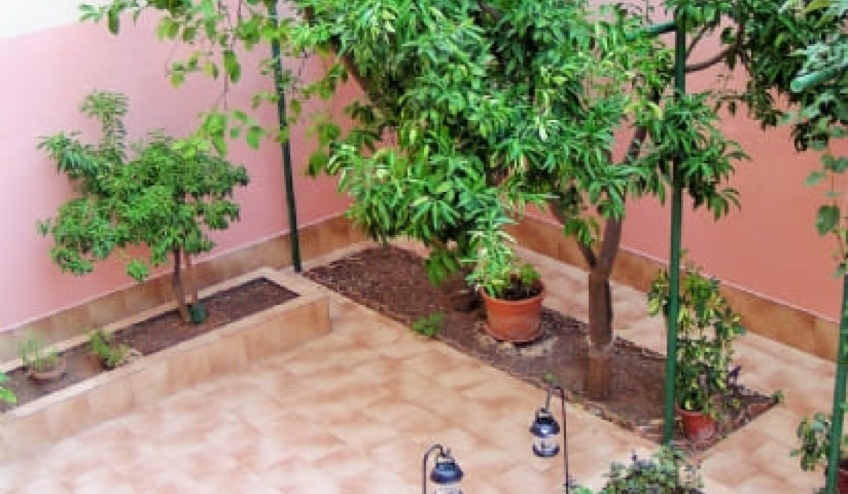 Agenzia immobiliare PegasoMed   san vito dei normanni 