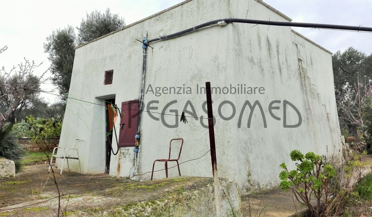 Lamia, uliveto, vacanze in Puglia