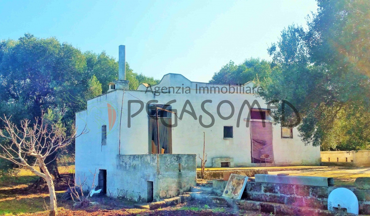 Lamia da ristrutturare, vacanze in Puglia, uliveti
