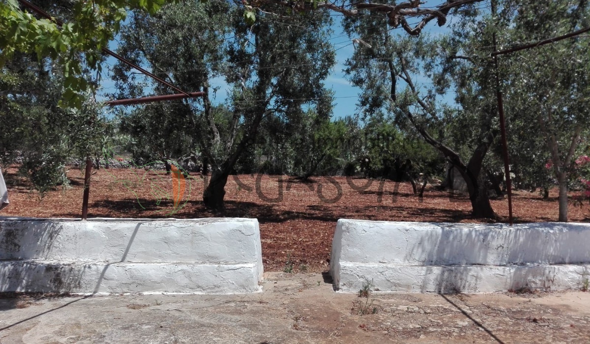 Vacanze in Puglia, lamia in contrada colacurto, casolare da ristrutturare 