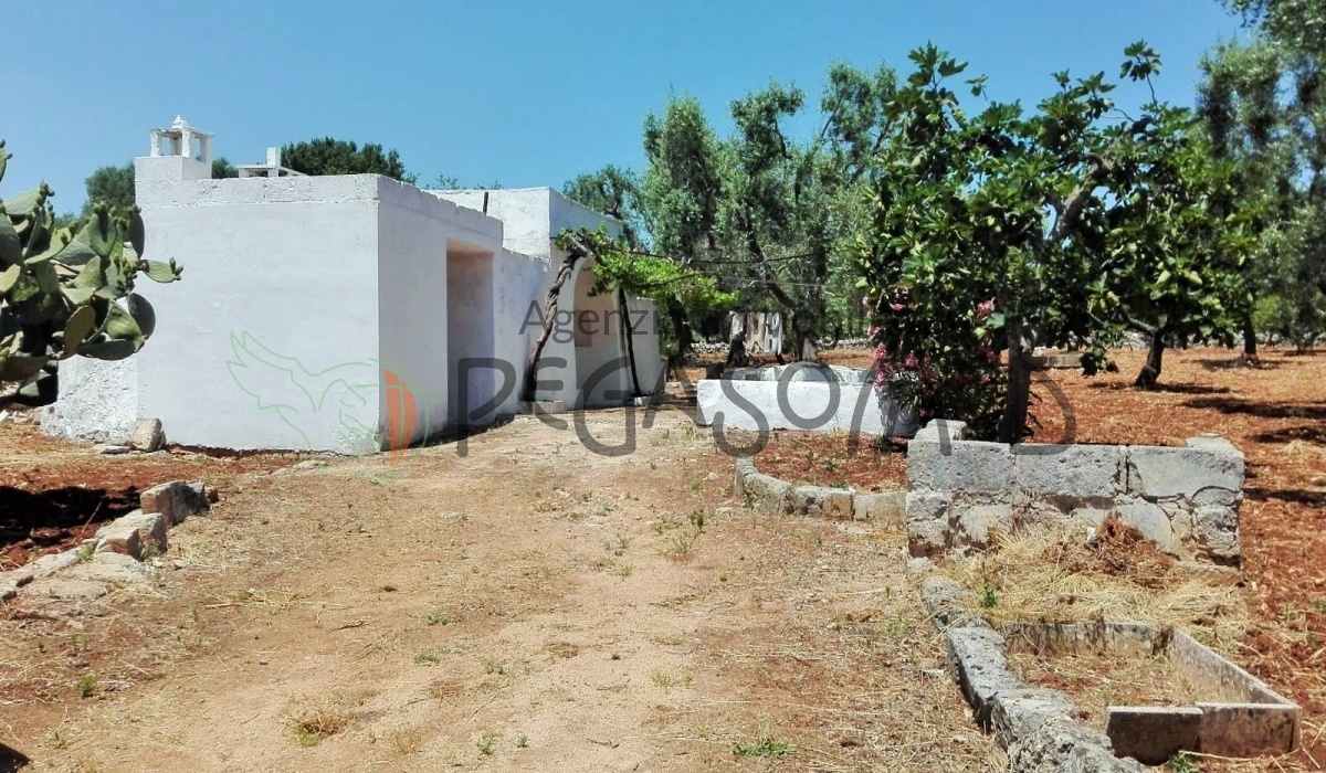 Vacanze in Puglia, lamia in contrada colacurto, casolare da ristrutturare 