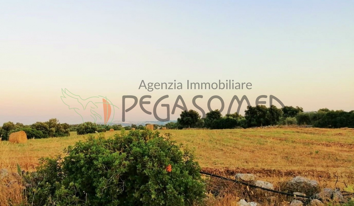 Terreno a due chilometri dal mare, macchia mediteranea, grotte, ampliabile, uliveti secolari, Puglia, vacanze in puglia, investire in Puglia, alto salento