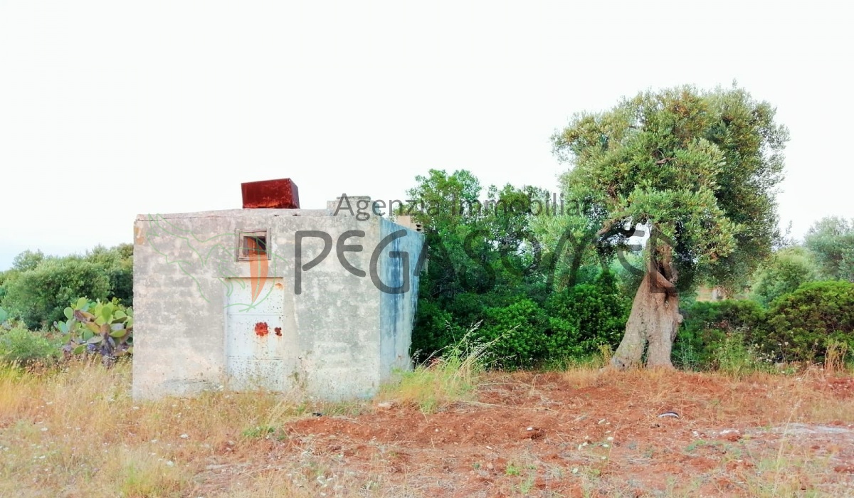 Terreno a due chilometri dal mare, macchia mediteranea, grotte, ampliabile, uliveti secolari, Puglia, vacanze in puglia, investire in Puglia, alto salento