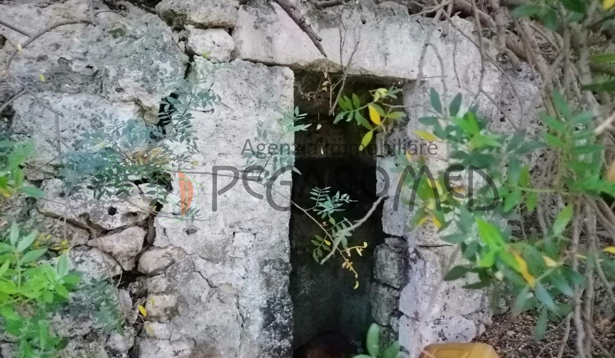 Terreno a due chilometri dal mare, macchia mediteranea, grotte, ampliabile, uliveti secolari, Puglia, vacanze in puglia, investire in Puglia, alto salento