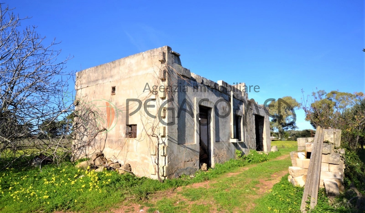 PegasoMed Torre Guaceto casolare vista mare