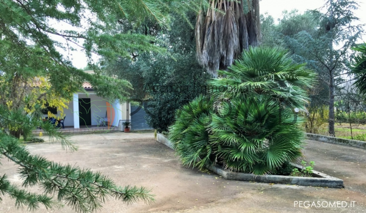 Casa in Campagna In vendita In SAN VITO DEI NORMANNI, 72019 agenzia immobiliare Pegasomed puglia