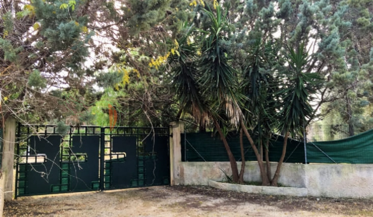 Casa in Campagna In vendita In SAN VITO DEI NORMANNI, 72019 agenzia immobiliare Pegasomed puglia