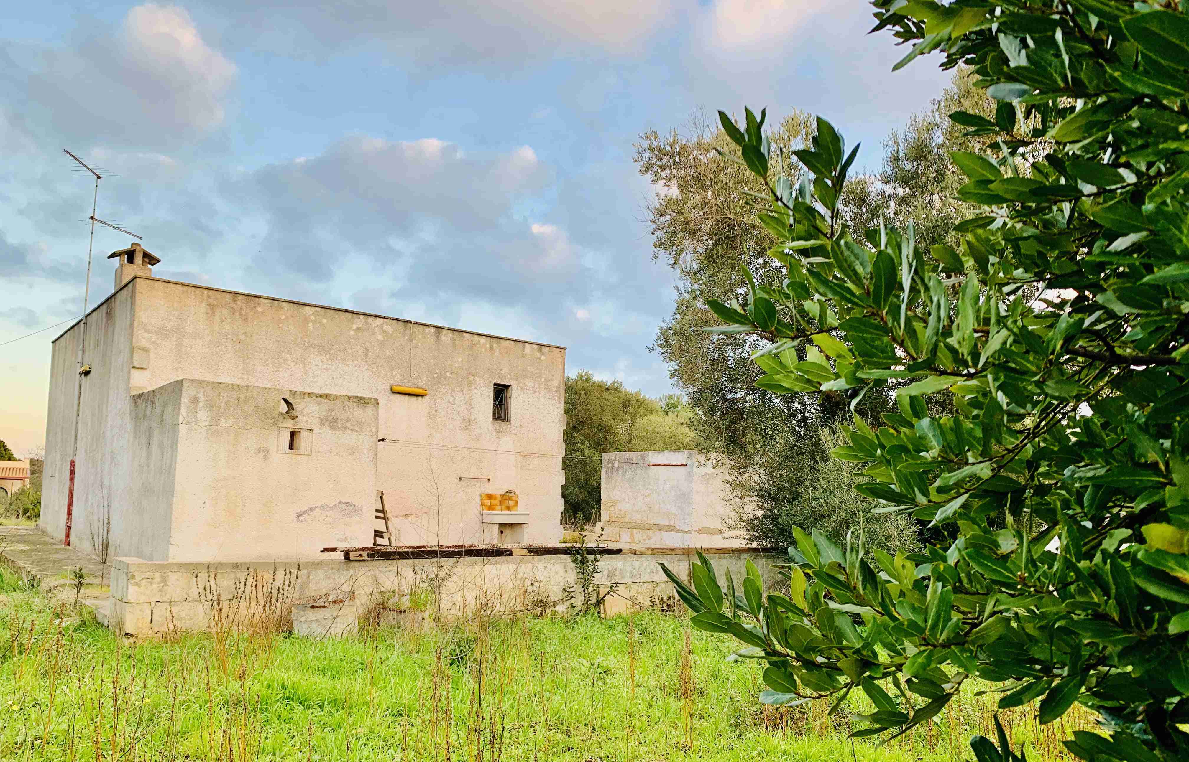 PEGASOMED agenzia immobiliare Puglia San Vito dei Normanni Carovigno Ostuni Brindisi 