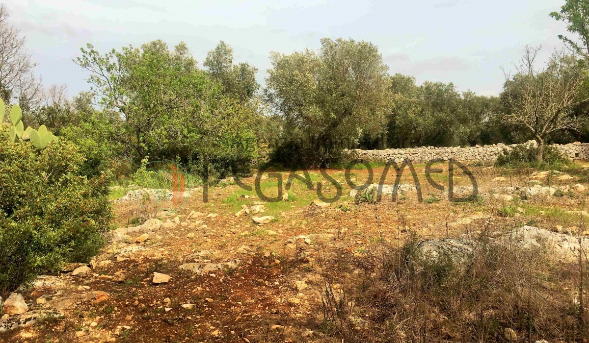 Trullo San Vito dei Normanni Agenzia Pegaso  agenzia immobiliare trullo puglia