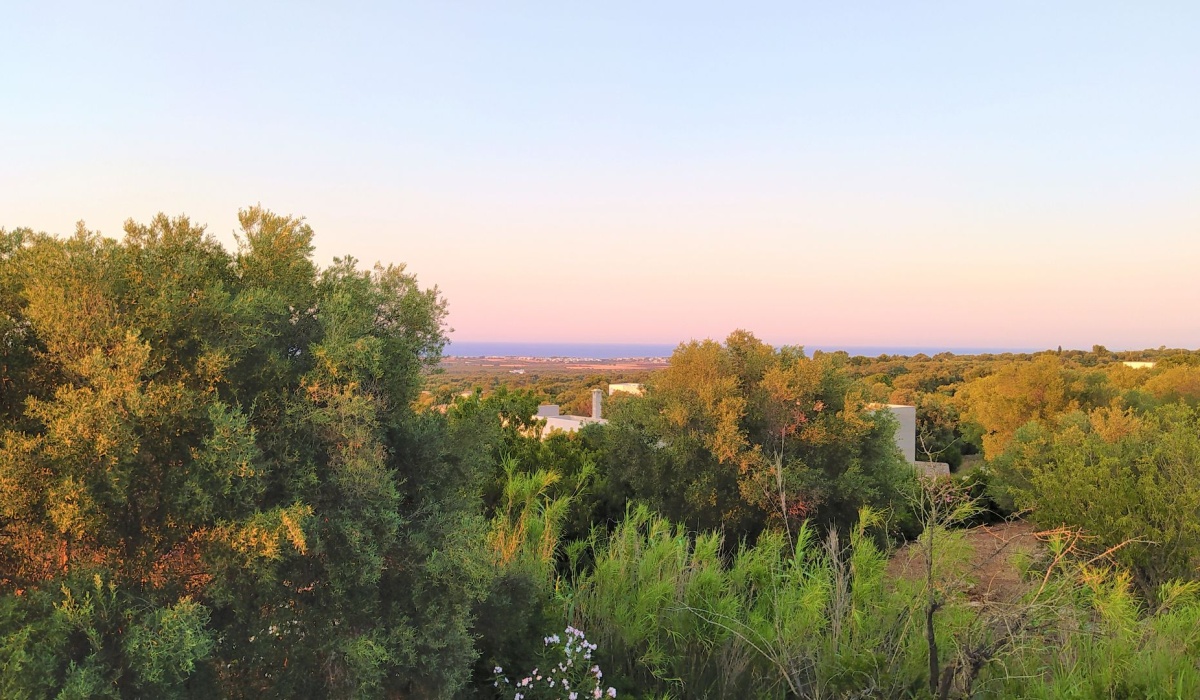 pegasomed san vito dei normanni carovigno vista mare villa ostuni puglia panoramica piscina verde pace