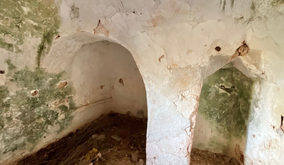 puglia trulli san vito dei normanni carovigno mare sole salento coni cupole pietra a secco ostuni valle d\'itria carovigno campagna relax privacy