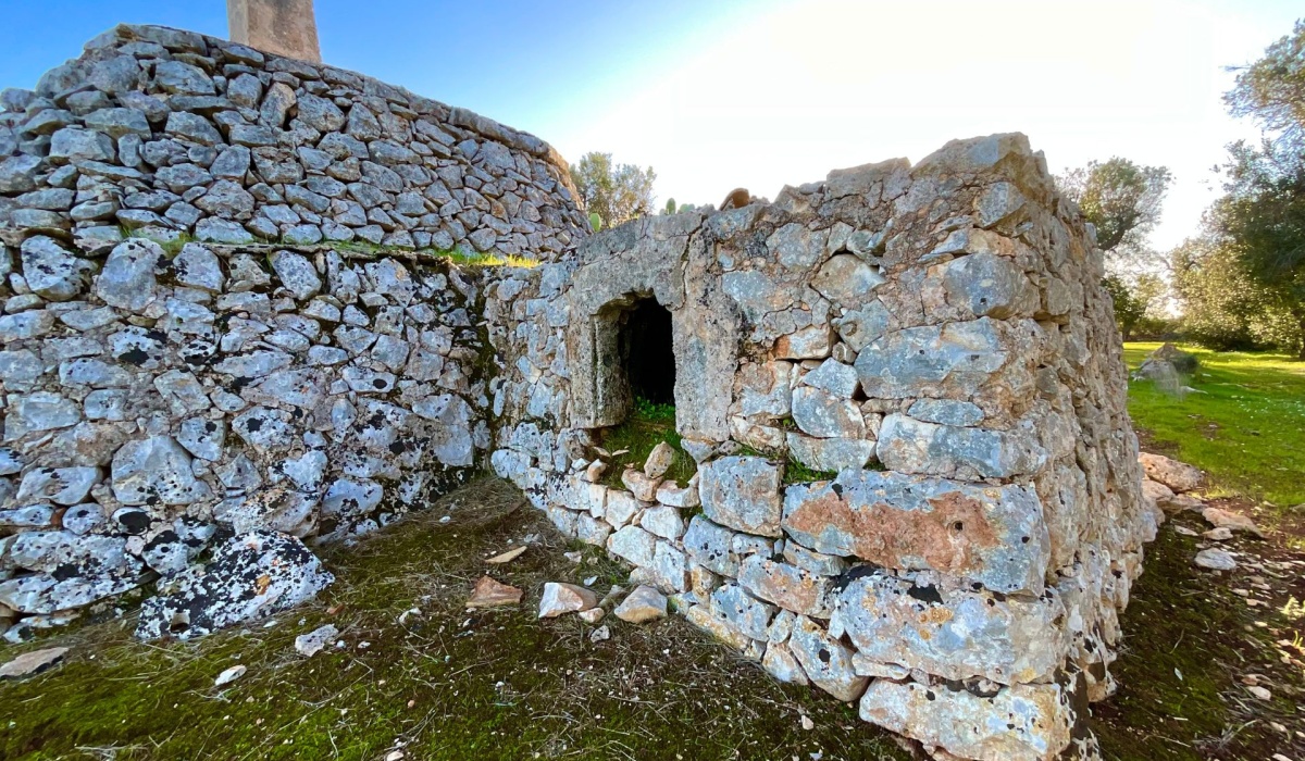puglia trulli san vito dei normanni carovigno mare sole salento coni cupole pietra a secco ostuni valle d\'itria carovigno campagna relax privacy